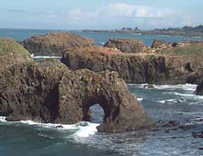 Mendocino headlands