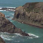 Abalone fishermen